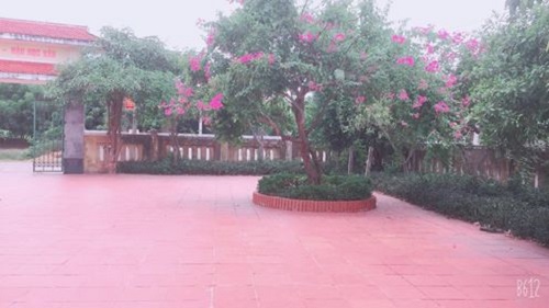 68.jpg